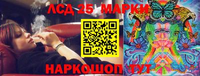 крисы Брянск