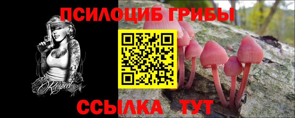 Галлюциногенные грибы прущие грибы Владикавказ